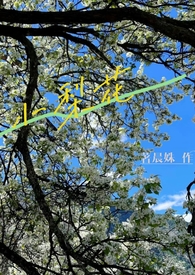 小兰和新一怀孕的前一天